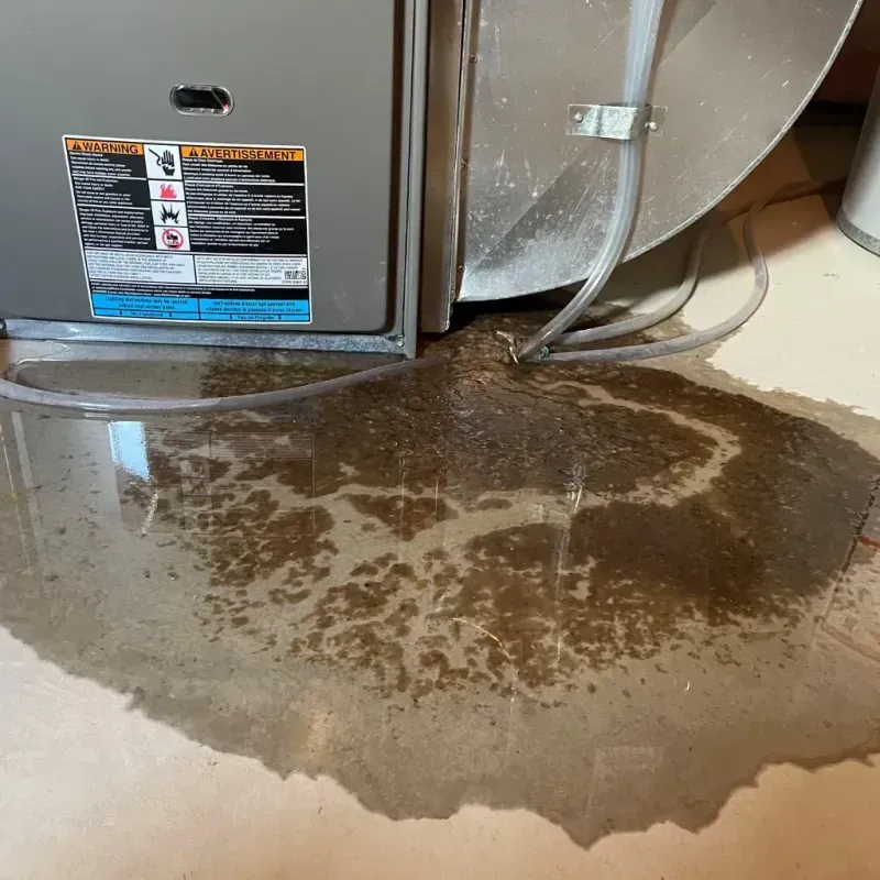 Appliance Leak Cleanup in Ochiltree County, TX